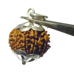 Natural 11 Mukhi Nepali Mantrit (Energized) Rudraksha Bead In Silver Locket, Certified with X-Ray Report - Image 3