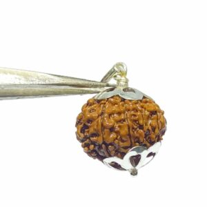 Mantrit (Energized), Original 9 Mukhi Rudraksha In Silver Locket - Image 2
