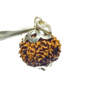Natural 11 Mukhi Nepali Mantrit (Energized) Rudraksha Bead In Silver Locket, Certified with X-Ray Report - Image 4