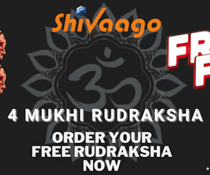 Free 4 Mukhi Rudraksha Original - *Delivery Charges only Rs 99 - Image 2