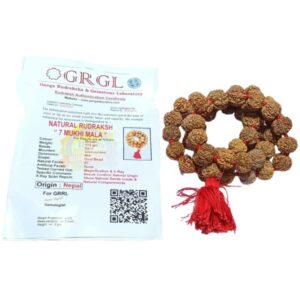 Shani Mala Rudraksha - Nepali 7 Mukhi Rudraksha (54+1) Beads - Image 2