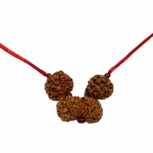 Shiv Parivaar Kavach Rudraksha - Combination of Gaurishankar, Ganesh & 6 Mukhi Rudraksha - Image 1