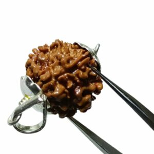 Nepali 1 Mukhi Rudraksha Bead Underdeveloped 21mm+ in silver locket - Image 2