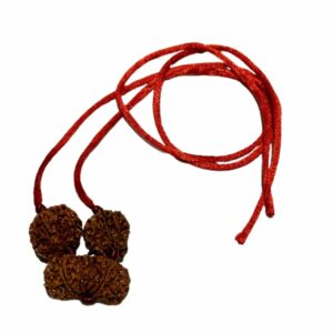 Shiv Parivaar Kavach Rudraksha - Combination of Gaurishankar, Ganesh & 6 Mukhi Rudraksha - Image 2
