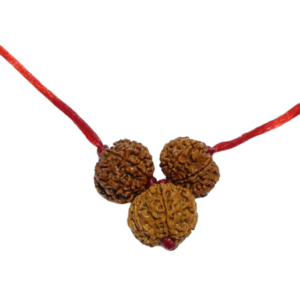 Business Growth Kavach Rudraksha - Combination of 7, 8 & 7 Mukhi Rudraksha - Image 3