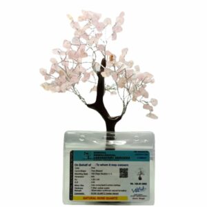 Mantrit (Energized) Rose Quartz Tree - 150 Pieces Stones Certified - Image 3