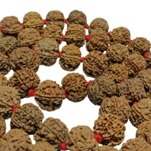 Shani Mala Rudraksha - Nepali 7 Mukhi Rudraksha (54+1) Beads - Image 4