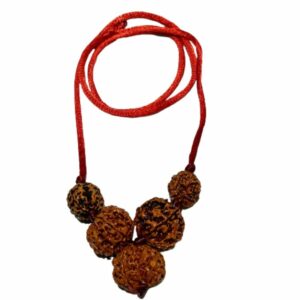 Health Kavach Rudraksha - Combination of 5 mukhi, 5 mukhi,5 mukhi, 3 mukhi & 3 Mukhi Rudraksha - Image 4