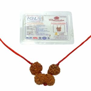 Shiv Parivaar Kavach Rudraksha - Combination of Gaurishankar, Ganesh & 6 Mukhi Rudraksha - Image 3