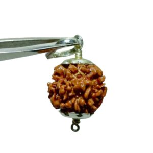 Nepali 1 Mukhi Rudraksha Bead Underdeveloped 21mm+ in silver locket - Image 3