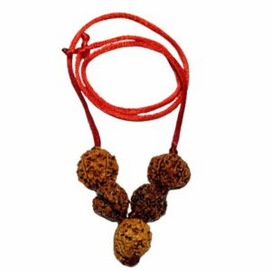 Will Power Kavach Rudraksha - Combination of 4 (2 pieces), Ganesh & 6 (2 pieces ) Mukhi Rudraksha - Image 2