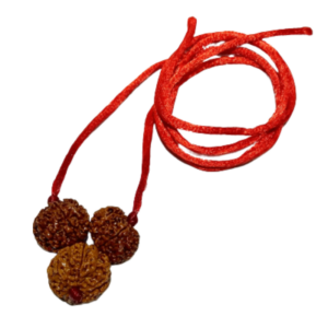 Business Growth Kavach Rudraksha - Combination of 7, 8 & 7 Mukhi Rudraksha - Image 4