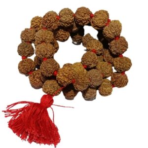 Shani Mala Rudraksha - Nepali 7 Mukhi Rudraksha (54+1) Beads - Image 3