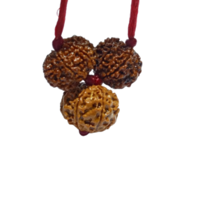 Business Growth Kavach Rudraksha - Combination of 7, 8 & 7 Mukhi Rudraksha - Image 5