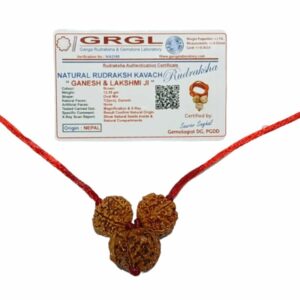Ganesh Laxmi Kavach Rudraksha - Combination of 7, Ganesh & 7 Mukhi Rudraksha - Image 5