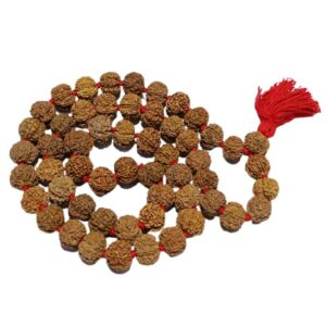 Shani Mala Rudraksha - Nepali 7 Mukhi Rudraksha (54+1) Beads - Image 5