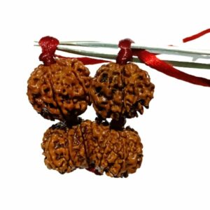 Shiv Parivaar Kavach Rudraksha - Combination of Gaurishankar, Ganesh & 6 Mukhi Rudraksha - Image 4
