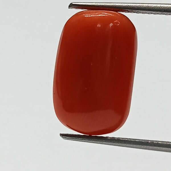 Coral hotsell colored stone