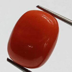 Mantrit (Energized) Authentic Original Red Coral Stone With Lab-Certified 11.55 Carat - Image 2
