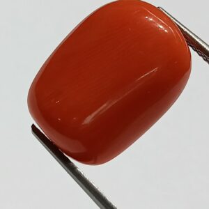 Mantrit (Energized) Authentic Original Red Coral Stone With Lab-Certified 12.71 Carat - Image 2