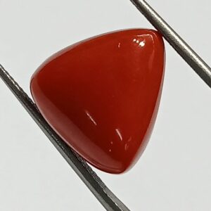 Mantrit (Energized) Triangle Red Coral/ Moonga Stone- 15.65 Carat - Image 1
