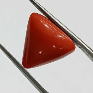 Mantrit (Energized) Triangle Red Coral/ Moonga Stone-11.50 Carat - Image 1