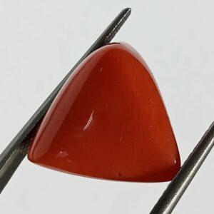 Mantrit (Energized) Triangle Red Coral/ Moonga Stone-12.80 Carat - Image 2