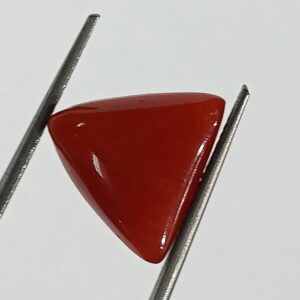 Mantrit (Energized) Triangle Red Coral/ Moonga Stone-10.60 Carat - Image 3