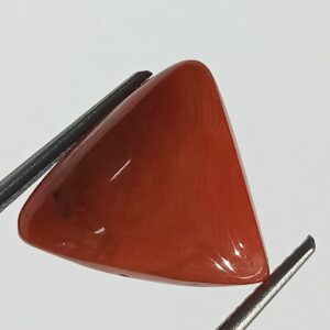 Mantrit (Energized) Triangle Red Coral/ Moonga Stone-11.60 Carat - Image 2