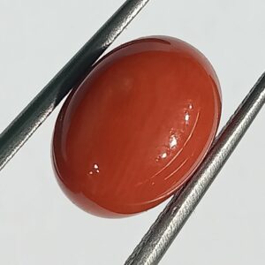 Mantrit (Energized) Authentic Original Red Coral Stone With Lab-Certified 5.40 Carat - Image 3