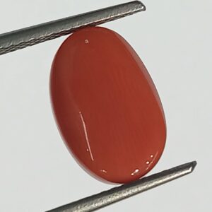 Mantrit (Energized) Authentic Original Red Coral Stone With Lab-Certified 5.50 Carat - Image 2