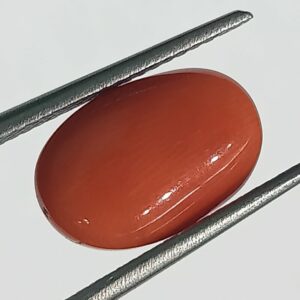 Mantrit (Energized) Authentic Original Red Coral Stone With Lab-Certified 5.70 Carat - Image 3