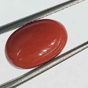 Mantrit (Energized) Authentic Original Red Coral Stone With Lab-Certified 6.00 Carat - Image 2