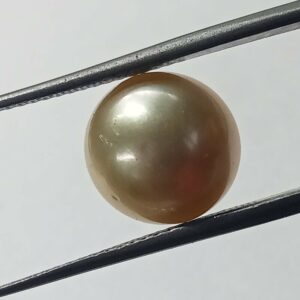 Mantrit (Energized) Natural Yellow (Golden) Pearl (Moti) Stone - 9.83 Carat - Image 2