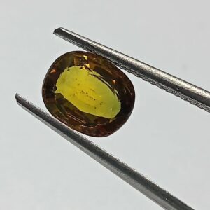 Original And Authentic Pitambari Nilla Gem Stone - 2.60 Carat With Lab Certification - Image 2