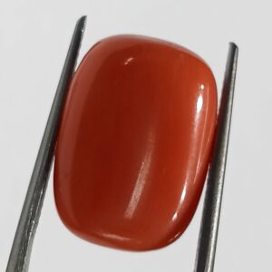 Mantrit (Energized) Authentic Original Red Coral Stone With Lab-Certified 12.47 Carat - Image 1