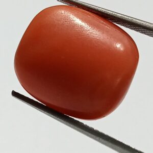Mantrit (Energized) Authentic Original Red Coral Stone With Lab-Certified 3.04 Carat - Image 1