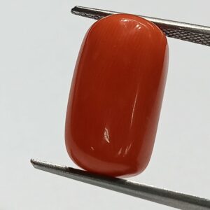Mantrit (Energized) Authentic Original Red Coral Stone With Lab-Certified 12.19 Carat - Image 1