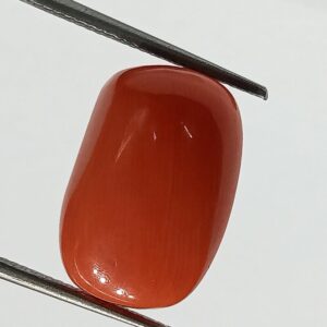 Mantrit (Energized) Authentic Original Red Coral Stone With Lab-Certified 13.34 Carat - Image 1