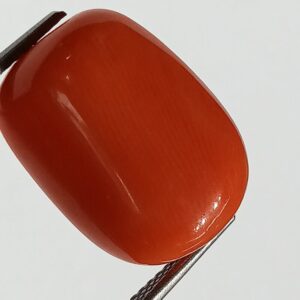 Mantrit (Energized) Authentic Original Red Coral Stone With Lab-Certified 12.71 Carat - Image 1