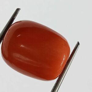 Mantrit (Energized) Authentic Original Red Coral Stone With Lab-Certified 15.00 Carat - Image 1