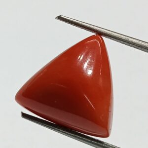 Mantrit (Energized) Triangle Red Coral/ Moonga Stone-8.84 Carat - Image 1