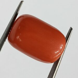 Mantrit (Energized) Authentic Original Red Coral Stone With Lab-Certified 13.35 Carat - Image 1