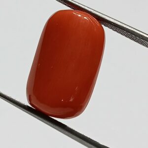 Mantrit (Energized) Authentic Original Red Coral Stone With Lab-Certified 12.21 Carat - Image 1