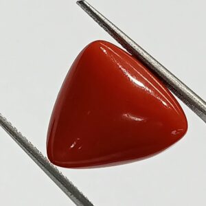 Mantrit (Energized) Triangle Red Coral/ Moonga Stone- 15.65 Carat - Image 2