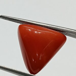 Mantrit (Energized) Triangle Red Coral/ Moonga Stone-11.50 Carat - Image 3