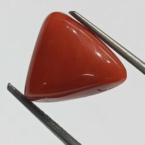 Mantrit (Energized) Triangle Red Coral/ Moonga Stone-11.60 Carat - Image 3