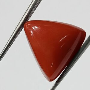 Mantrit (Energized) Triangle Red Coral/ Moonga Stone-13.10 Carat - Image 1
