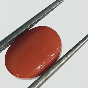 Mantrit (Energized) Authentic Original Red Coral Stone With Lab-Certified 5.40 Carat - Image 2