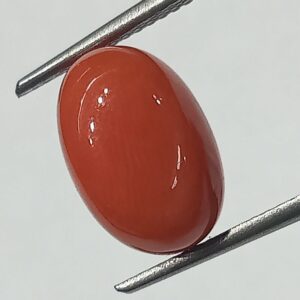 Mantrit (Energized) Authentic Original Red Coral Stone With Lab-Certified 5.50 Carat - Image 3